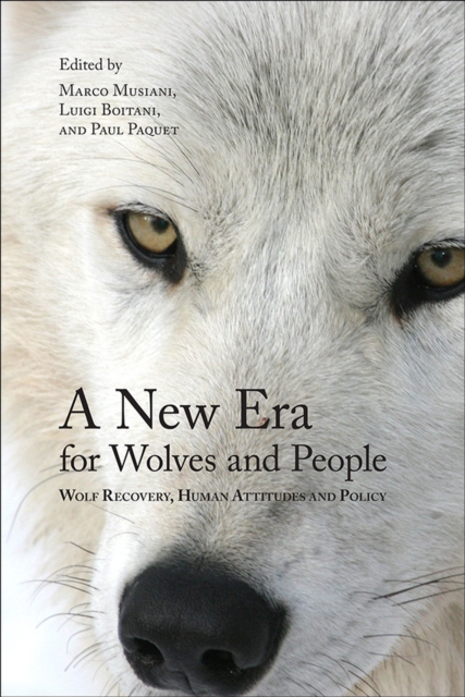 A New Era for Wolves and People : Wolf Recovery, Human Attitudes, and Policy, Paperback / softback Book
