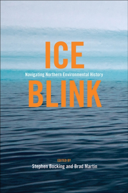 Ice Blink : Navigating Northern Environmental History, Paperback / softback Book