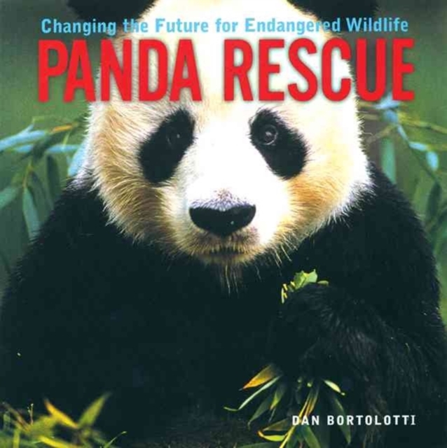 Panda Rescue, Paperback / softback Book
