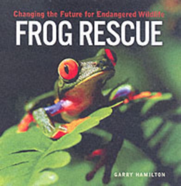 Frog Rescue, Paperback / softback Book