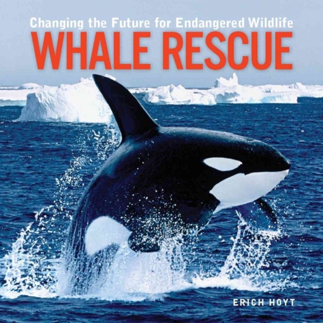 Whale Rescue, Hardback Book