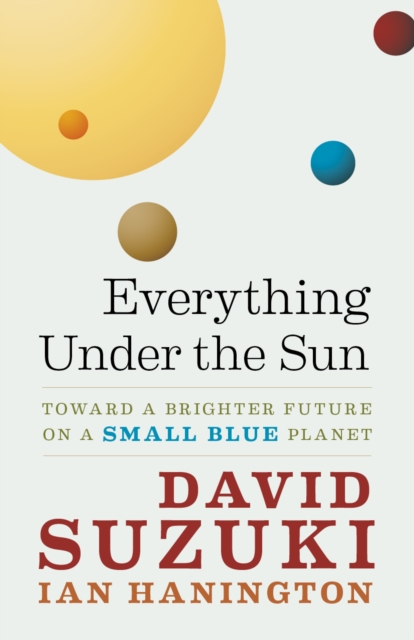 Everything Under the Sun : Toward a Brighter Future on a Small Blue Planet, Paperback / softback Book