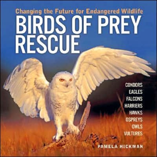 Birds of Prey Rescue : Changing the Future for Endangered Wildlife, Paperback / softback Book