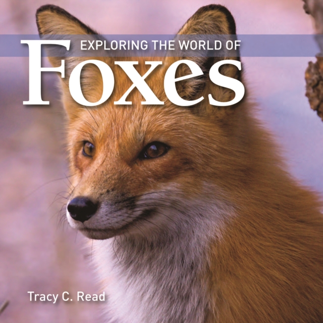 Exploring the World of Foxes, Paperback / softback Book