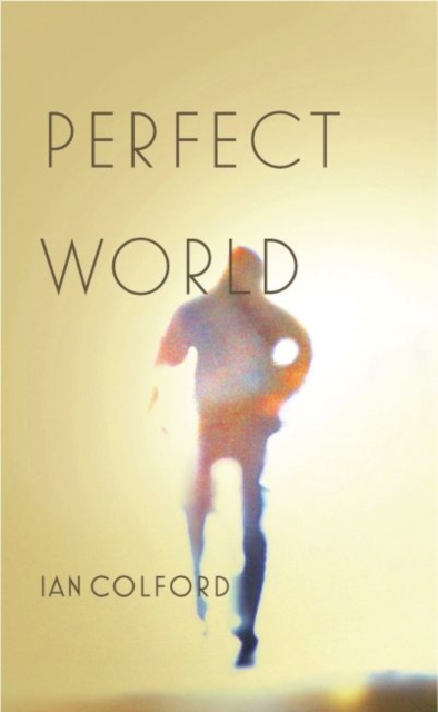 Perfect World, Paperback / softback Book