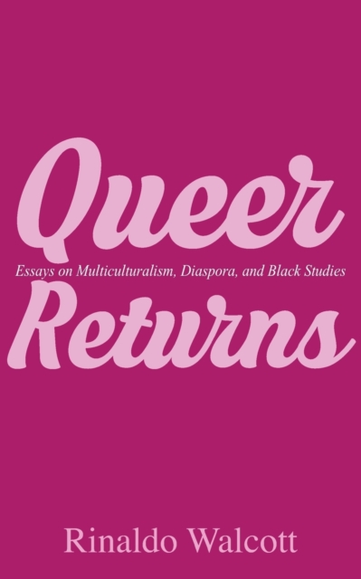 Queer Returns : Essays on Multiculturalism, Diaspora, and Black Studies, Paperback / softback Book