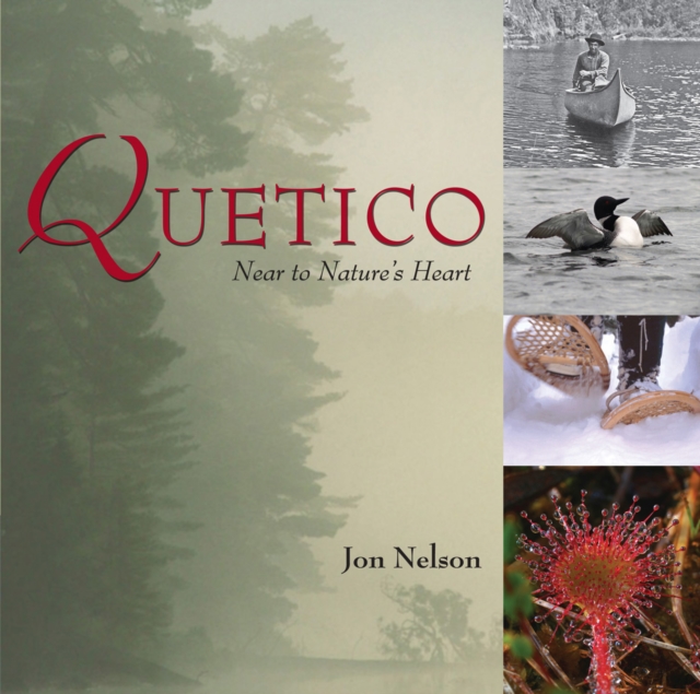 Quetico : Near to Nature's Heart, Paperback / softback Book