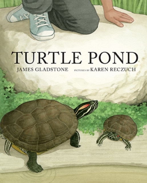 Turtle Pond, Hardback Book
