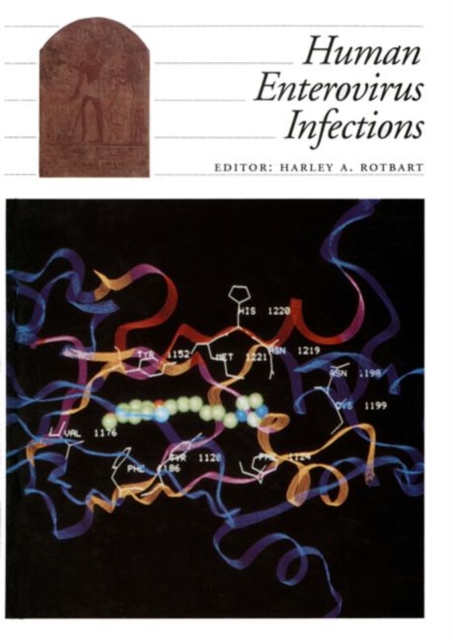 Human Enterovirus Infections, Hardback Book