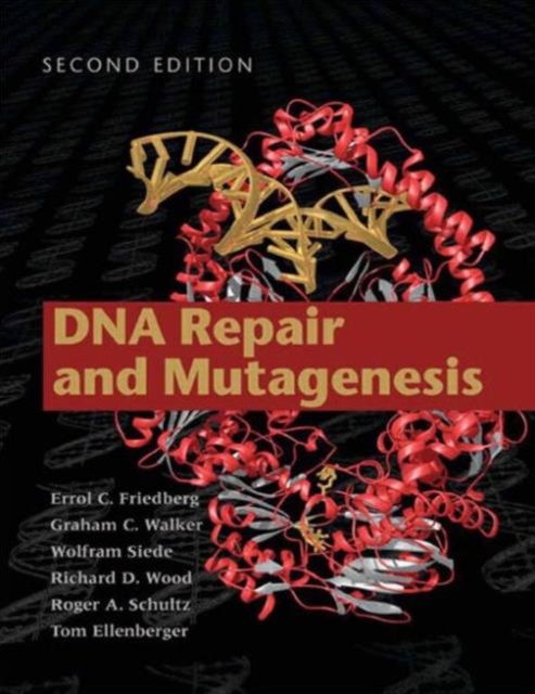 DNA Repair and Mutagenesis, Hardback Book