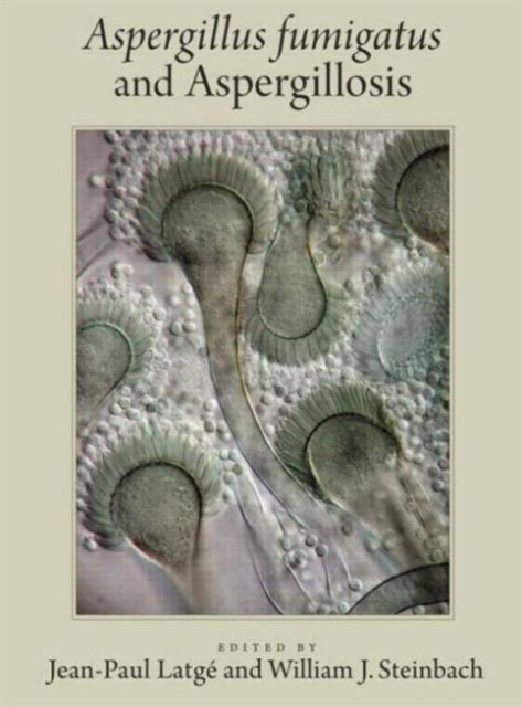 Aspergillus Fumigatus and Aspergillosis, Hardback Book