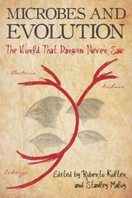 Microbes and Evolution : The World That Darwin Never Saw, Paperback / softback Book