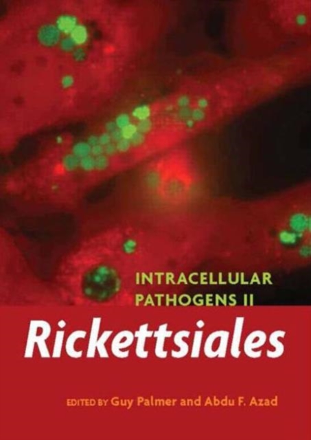 Intracellular Pathogens II : Rickettsiales, Hardback Book