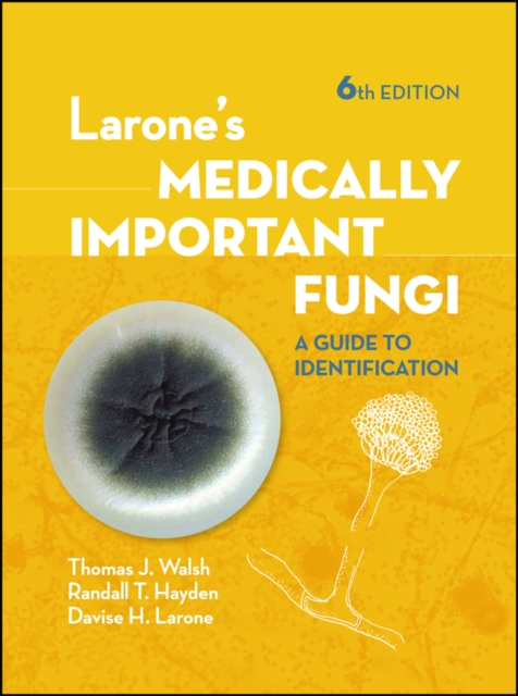 Larone's Medically Important Fungi : A Guide to Identification, Hardback Book