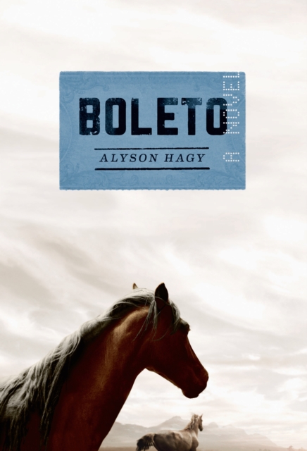 Boleto : A Novel, Paperback / softback Book