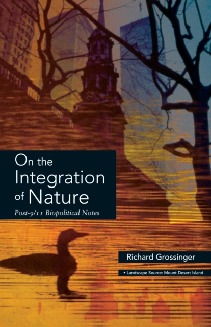 On The Integration Nature, Paperback / softback Book