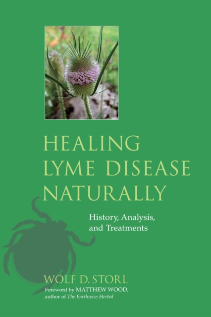 Healing Lyme Disease Naturally : History, Analysis, and Treatments, Paperback / softback Book