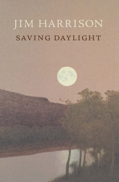 Saving Daylight, Paperback / softback Book