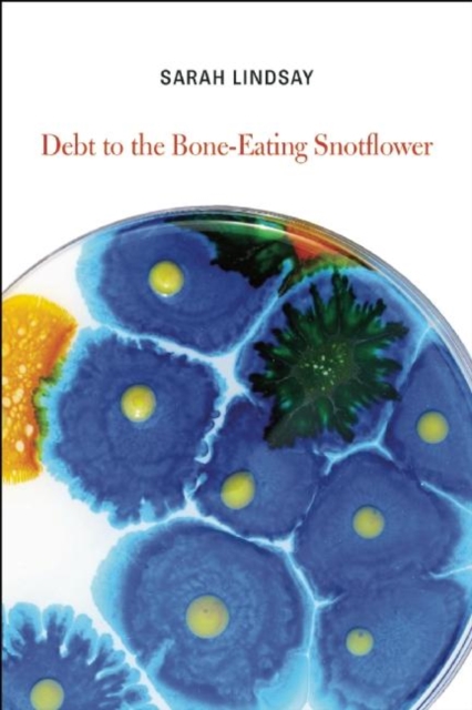 Debt to the Bone-Eating Snotflower, Paperback / softback Book