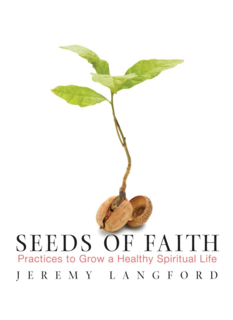 Seeds of Faith : Practices to Frow a Healthy Spiritual Life, PDF eBook