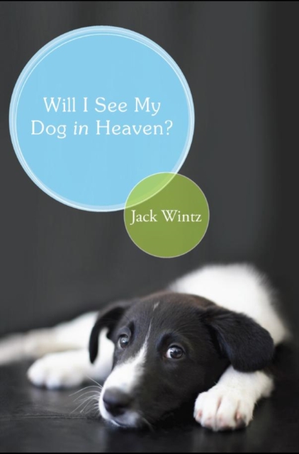 Will I See My Dog in Heaven?, PDF eBook