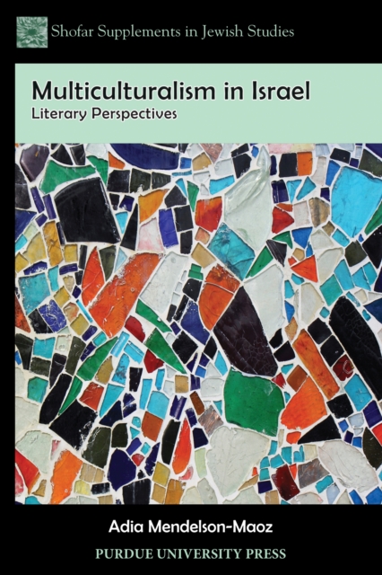 Multiculturalism in Israel : Literary Perspectives, Paperback / softback Book