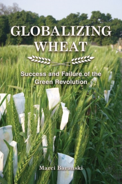 Globalizing Wheat : Success and Failure of the Green Revolution, Paperback / softback Book