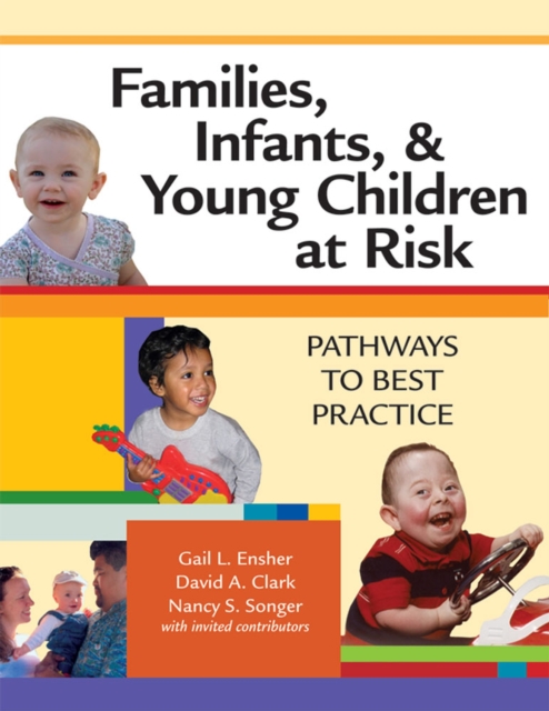 Families, Infants and Young Children at Risk : Pathways to Best Practice, Paperback / softback Book