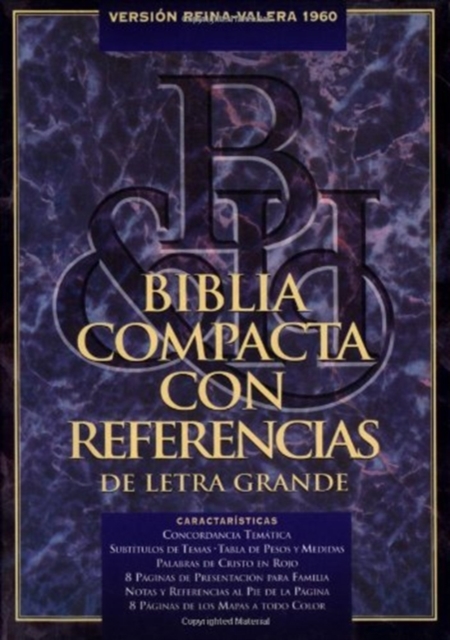 Bible Rvr Span L/P Black, Book Book