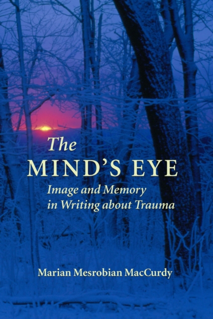 The Mind's Eye : Image and Memory in Writing About Trauma, Paperback / softback Book