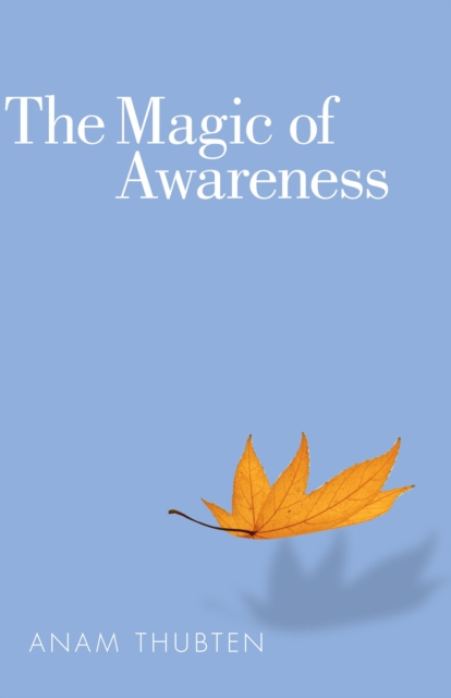 The Magic of Awareness, Paperback / softback Book