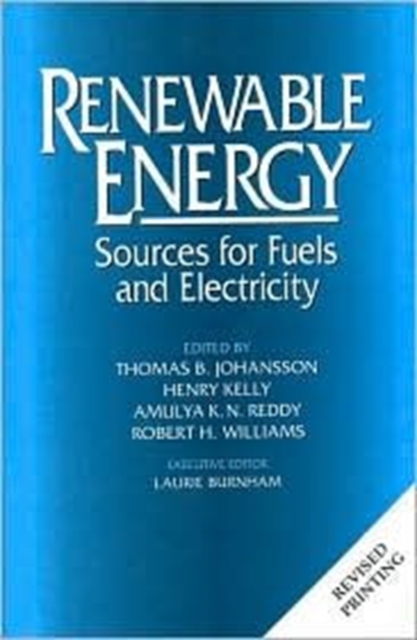 Renewable Energy : Sources For Fuels And Electricity, Paperback / softback Book