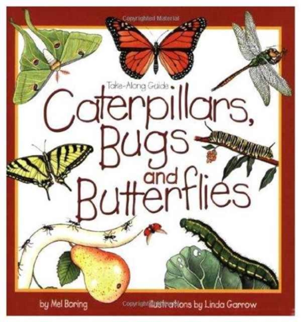 Caterpillars, Bugs and Butterflies, Paperback / softback Book