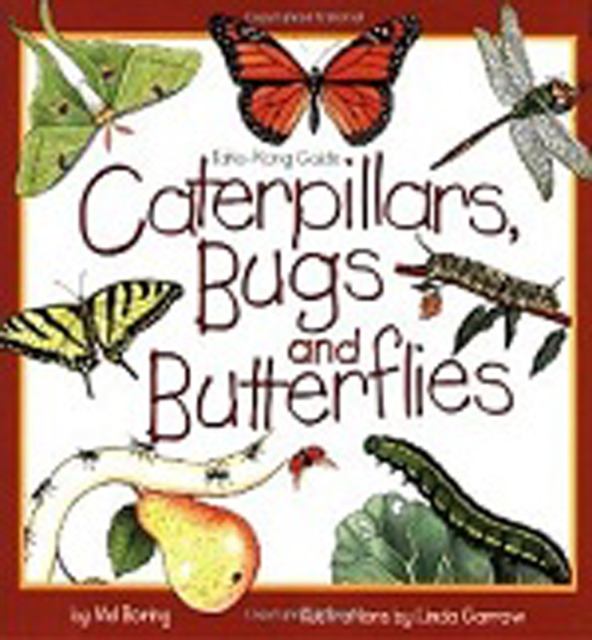 Caterpillars, Bugs and Butterflies : Take-Along Guide, Paperback / softback Book