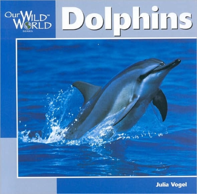 Dolphins, Paperback / softback Book