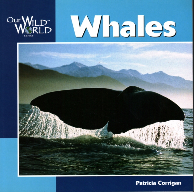 Whales, Paperback / softback Book