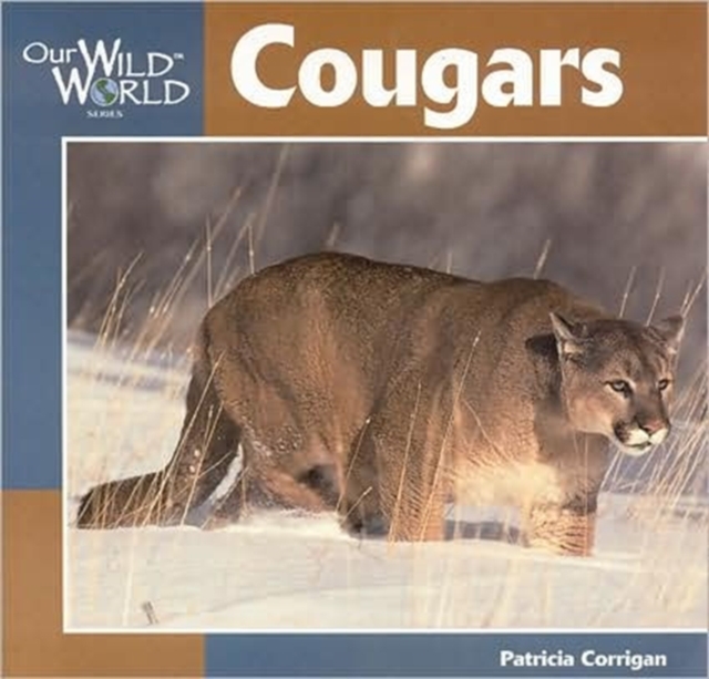 Cougars, Paperback / softback Book