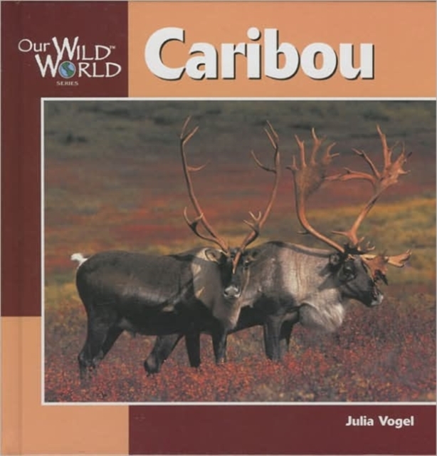 Caribou, Hardback Book