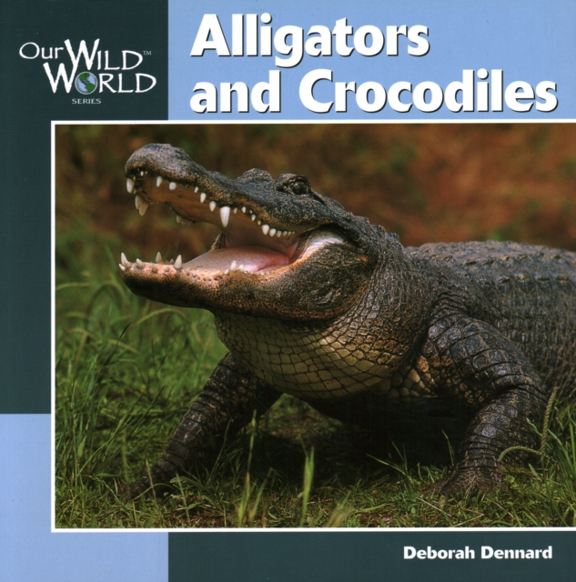 Alligators and Crocodiles, Paperback / softback Book