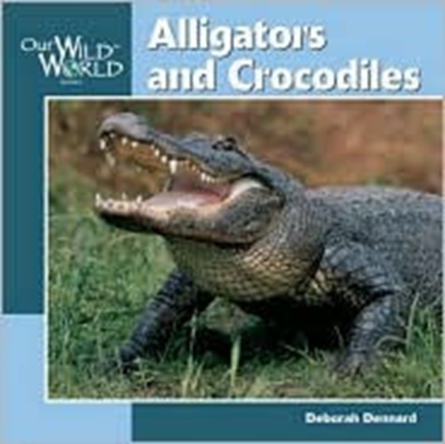 Alligators and Crocodiles, Hardback Book