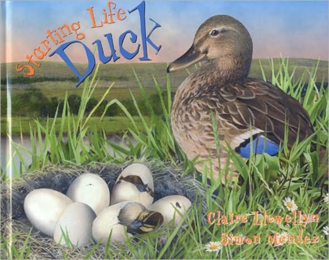Duck, Hardback Book