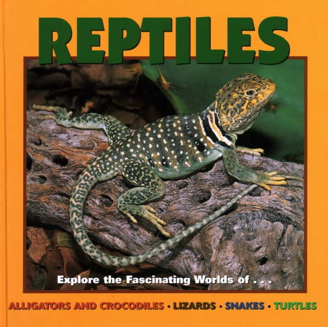 Reptiles : Alligators and Crocodiles, Lizards, Snakes and Turtles, Hardback Book