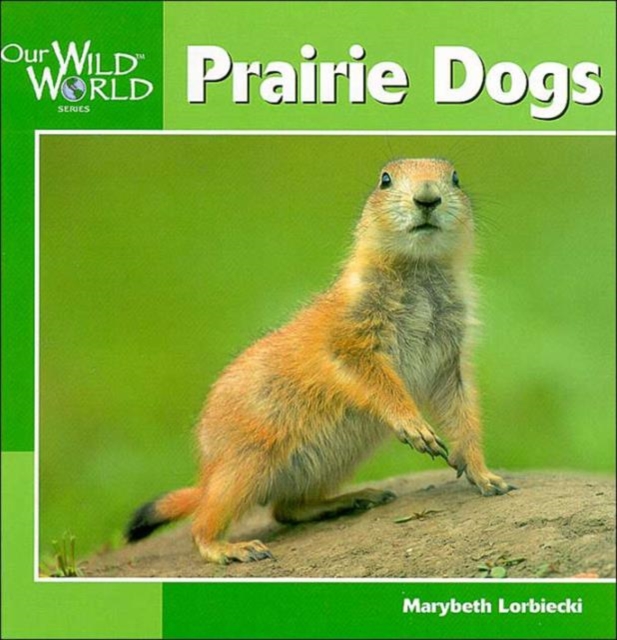 Prairie Dogs, Hardback Book