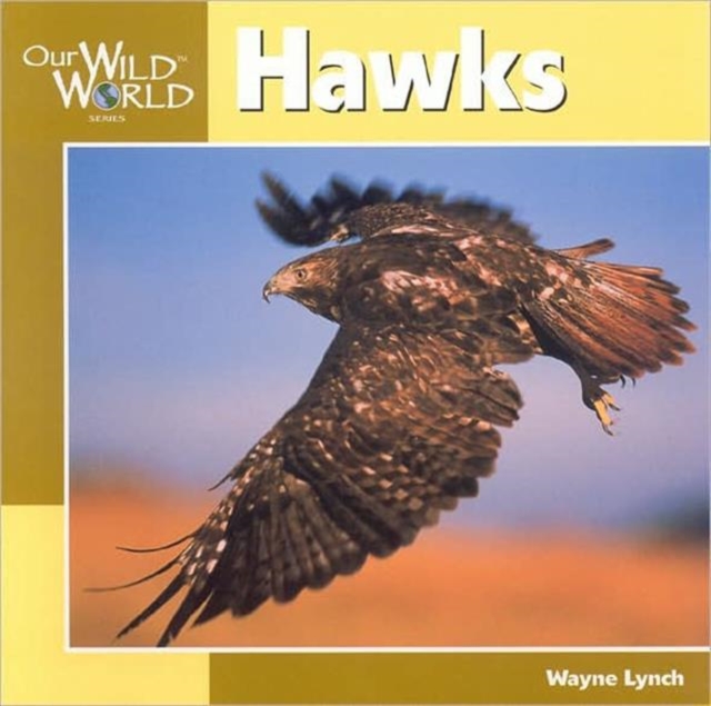 Hawks, Paperback / softback Book