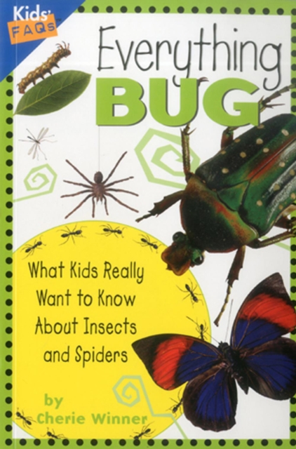 Everything Bug : What Kids Really Want to Know About Bugs, Paperback / softback Book