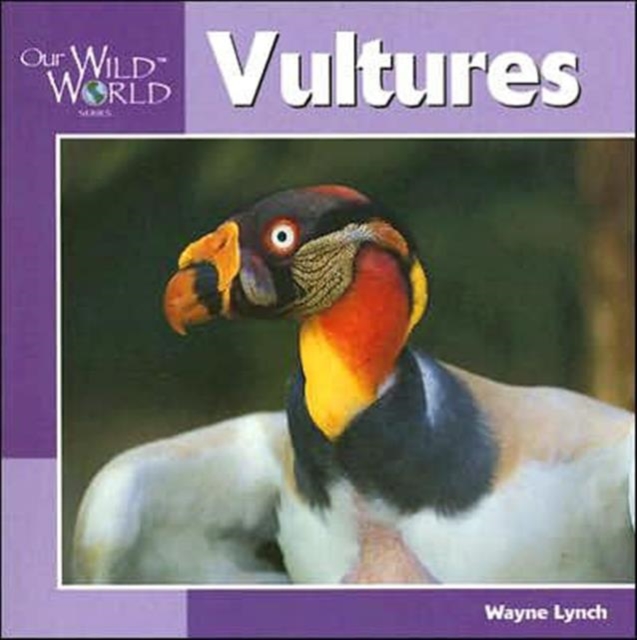 Vultures, Paperback / softback Book