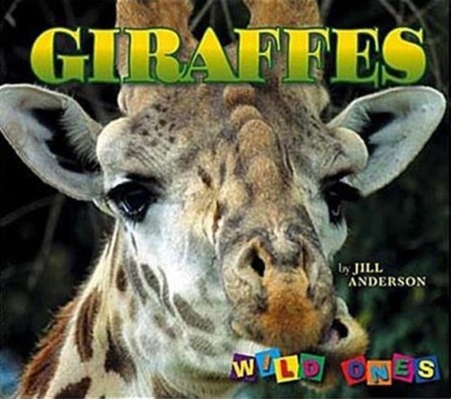 Giraffes, Paperback / softback Book