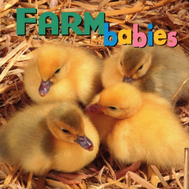 Farm Babies, Board book Book