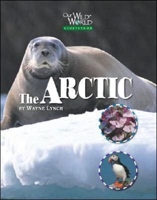 Arctic, Hardback Book