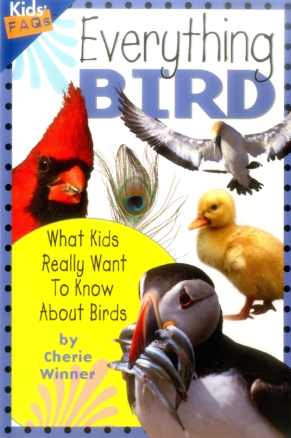 Everything Bird : What Kids Really Want to Know About Birds, Hardback Book